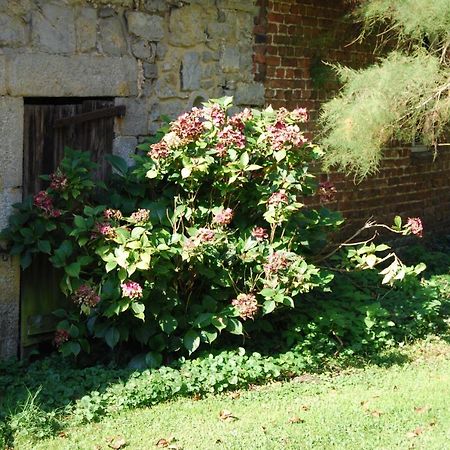 Gite La Grange D'Herbuchenne 迪南 外观 照片