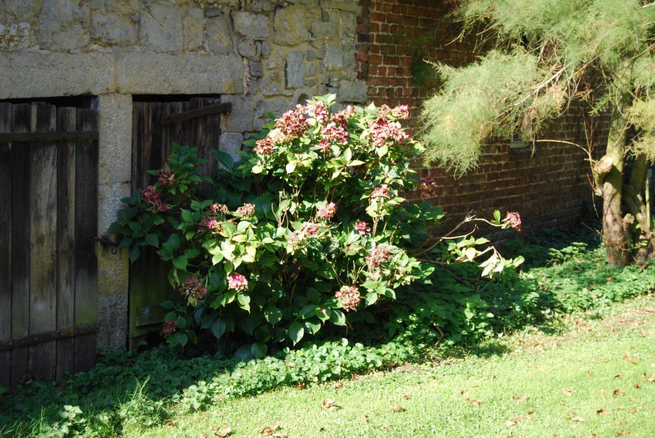 Gite La Grange D'Herbuchenne 迪南 外观 照片